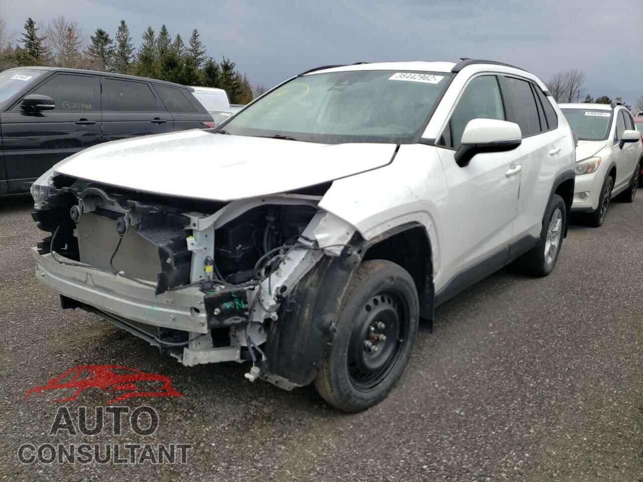 TOYOTA RAV4 2019 - 2T3B1RFVXKW031994