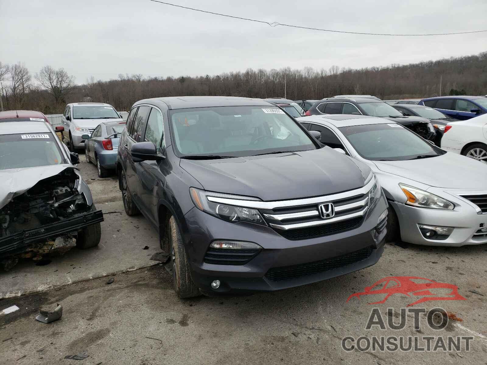 HONDA PILOT 2018 - 5FNYF6H5XJB066241