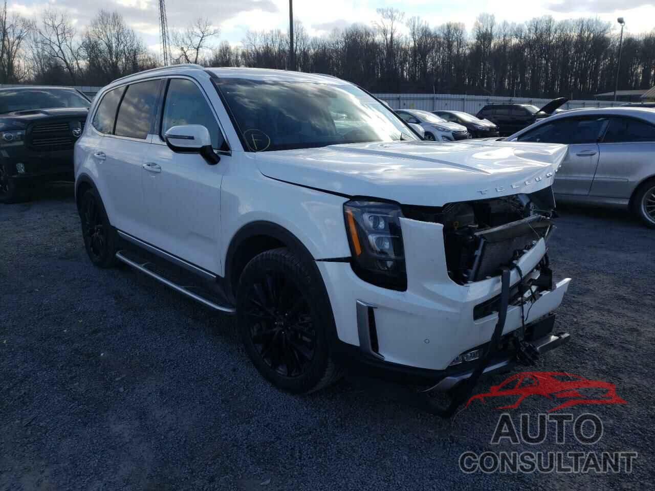 KIA TELLURIDE 2021 - 5XYP5DHC3MG097605