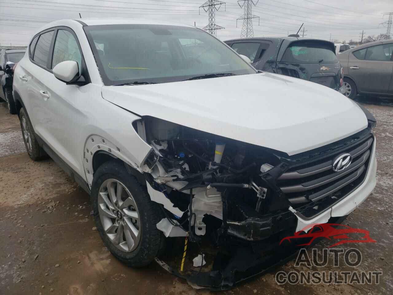 HYUNDAI TUCSON 2016 - KM8J23A43GU231345