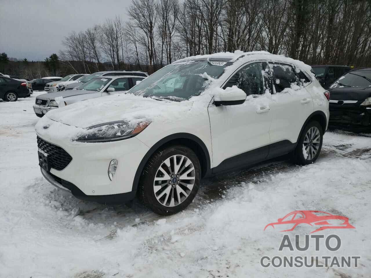FORD ESCAPE 2022 - 1FMCU9DZ5NUA41508