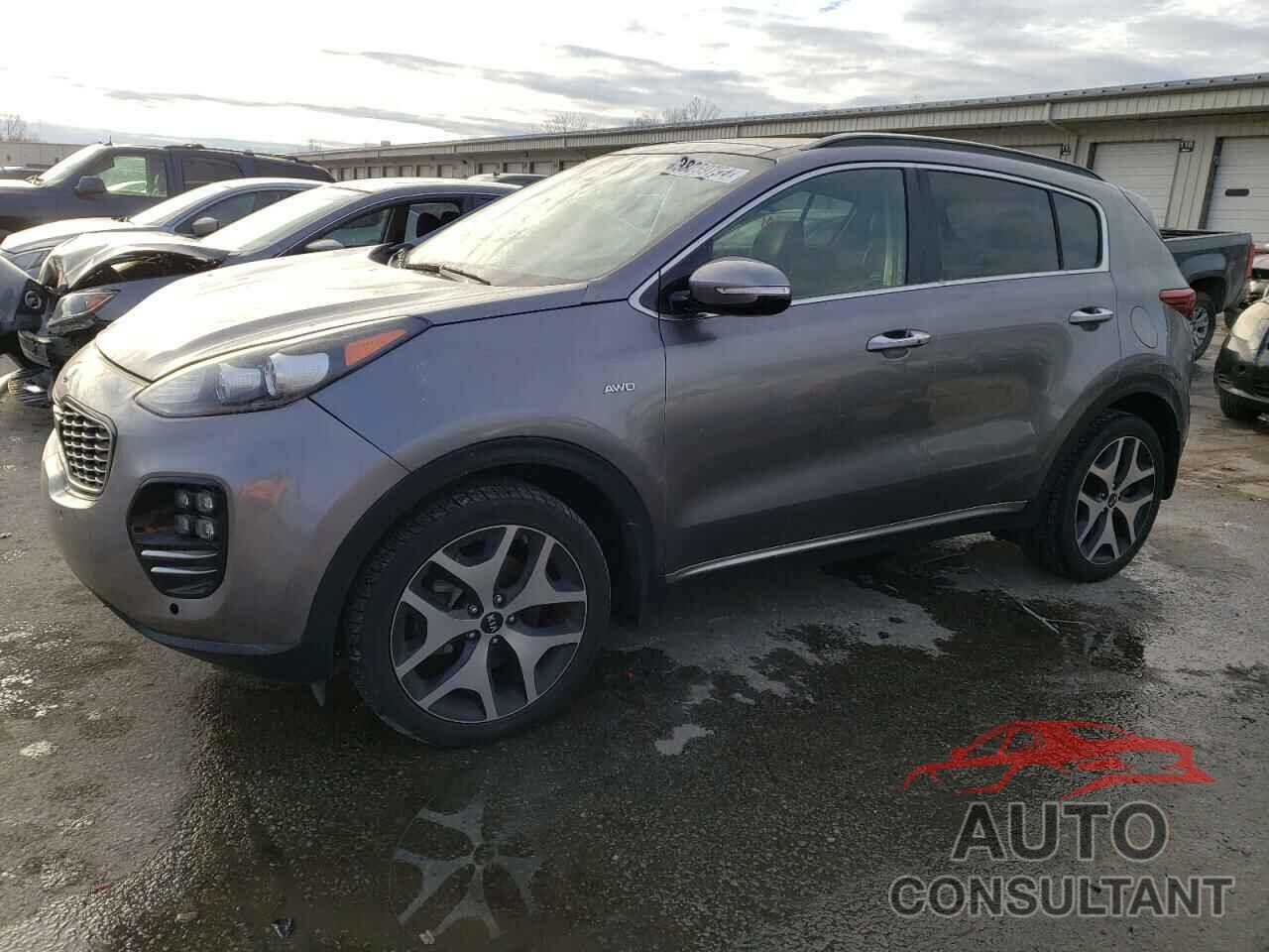 KIA SPORTAGE 2019 - KNDPRCA66K7552220