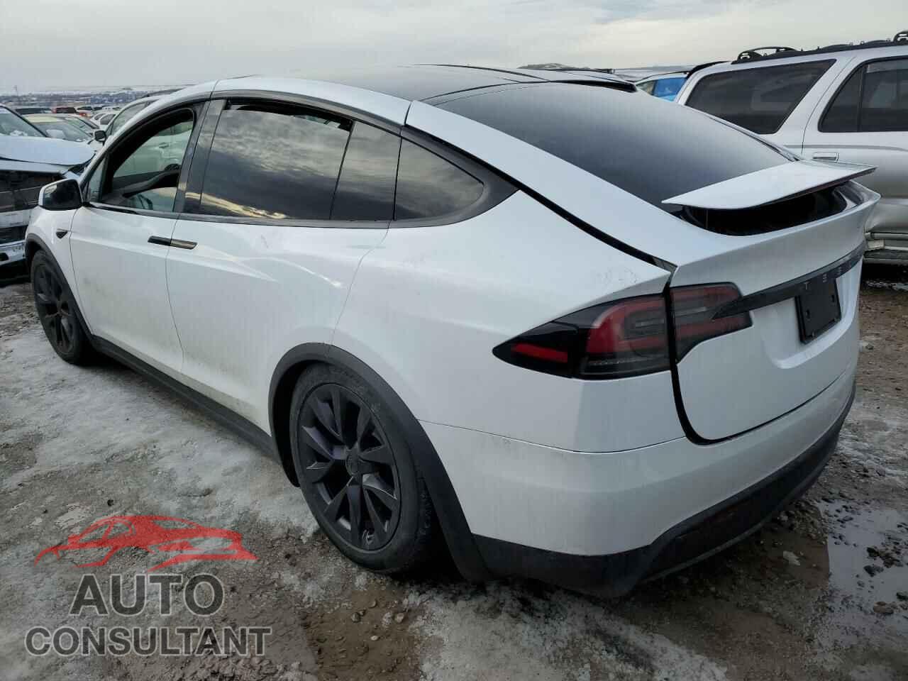TESLA MODEL X 2023 - 7SAXCAE59PF417213
