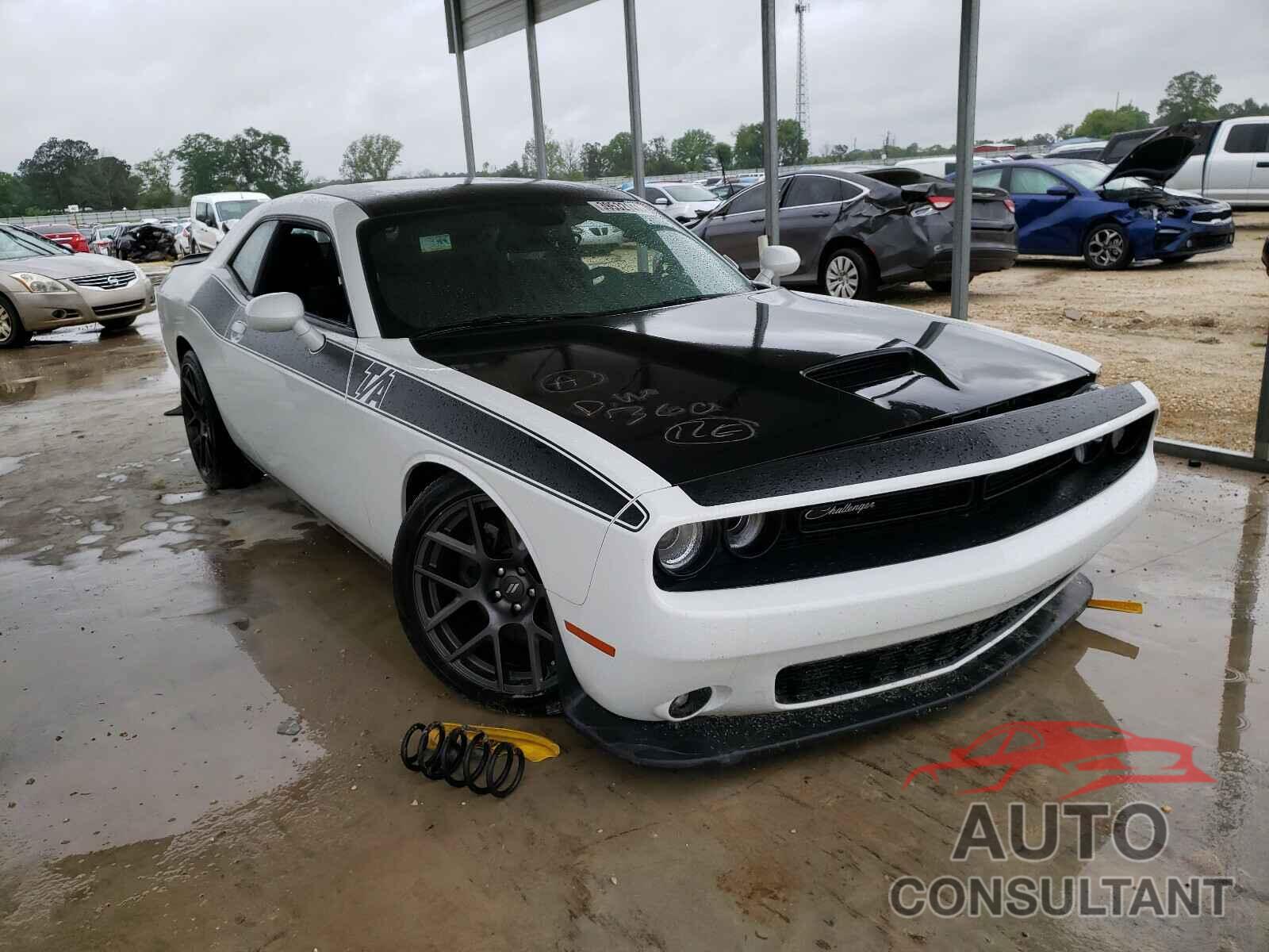 DODGE CHALLENGER 2019 - 2C3CDZBT6KH541568