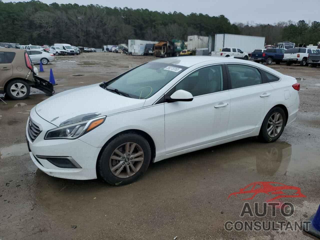 HYUNDAI SONATA 2017 - 5NPE24AFXHH448089