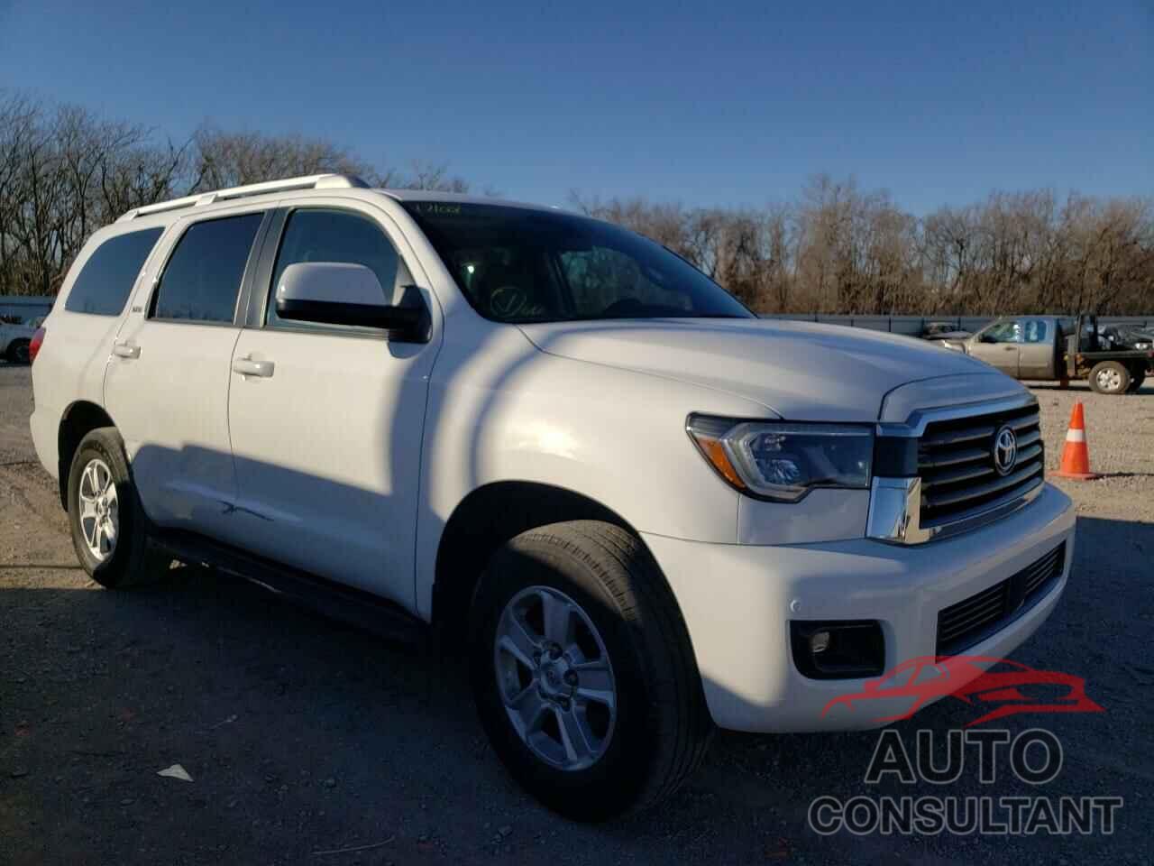 TOYOTA SEQUOIA 2019 - 5TDBY5G13KS171001