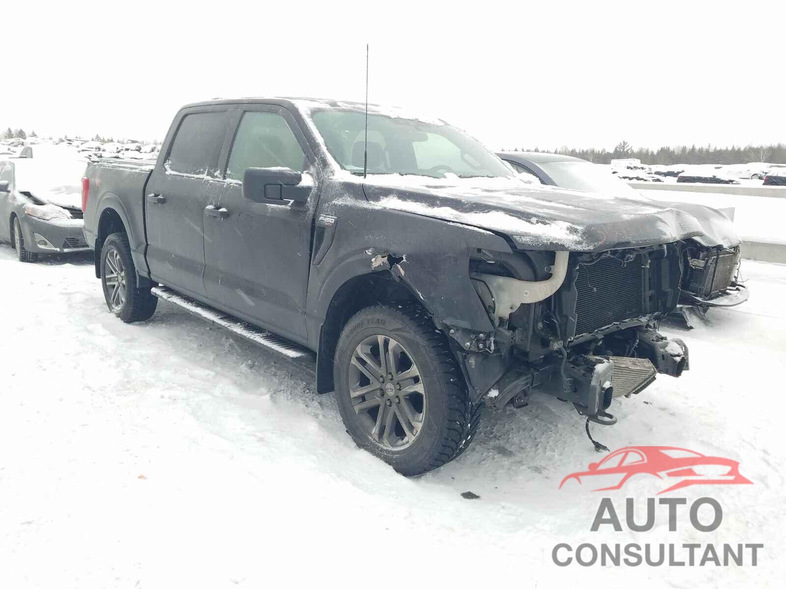 FORD F-150 2021 - 1FTEW1EP7MFB89605