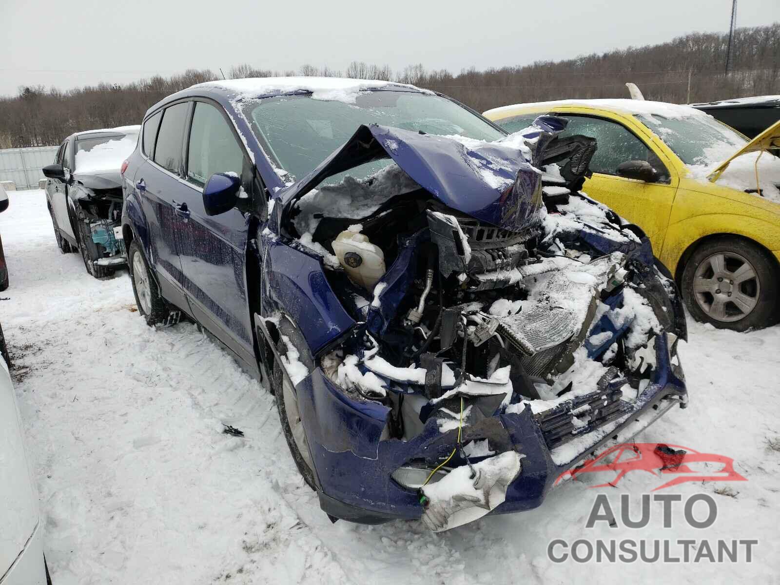 FORD ESCAPE 2016 - 1FMCU0G92GUB45531