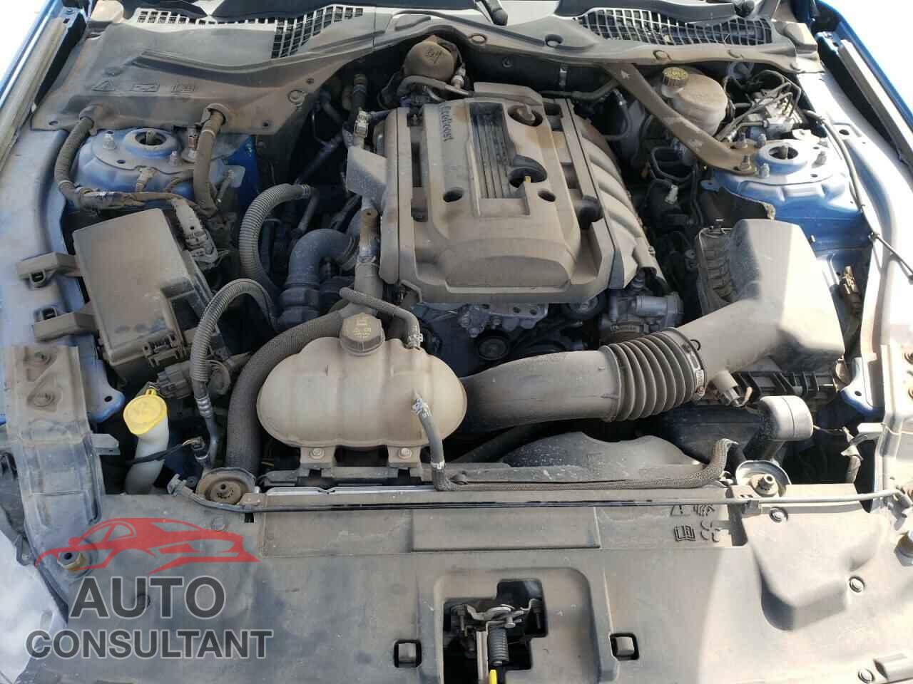 FORD MUSTANG 2019 - 1FATP8UH7K5109672