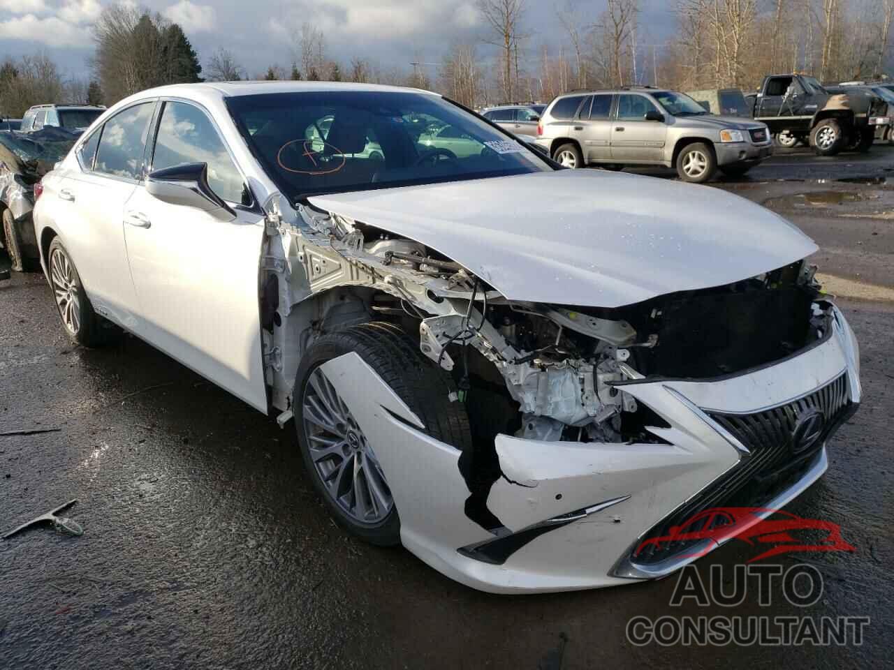 LEXUS ES300 2019 - 58AB21B19KU001808