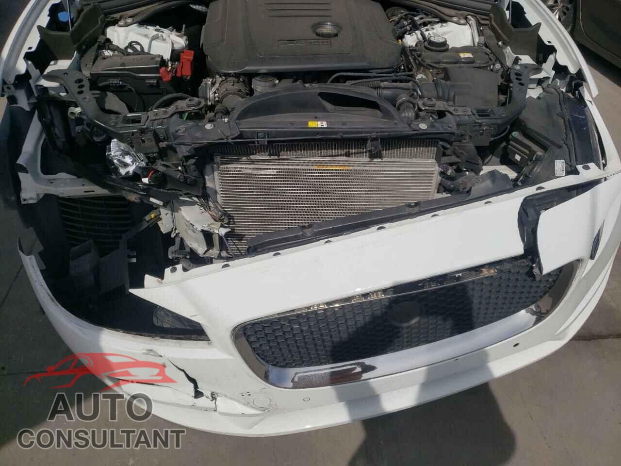 JAGUAR F-PACE 2019 - SADCJ2FN7KA607331