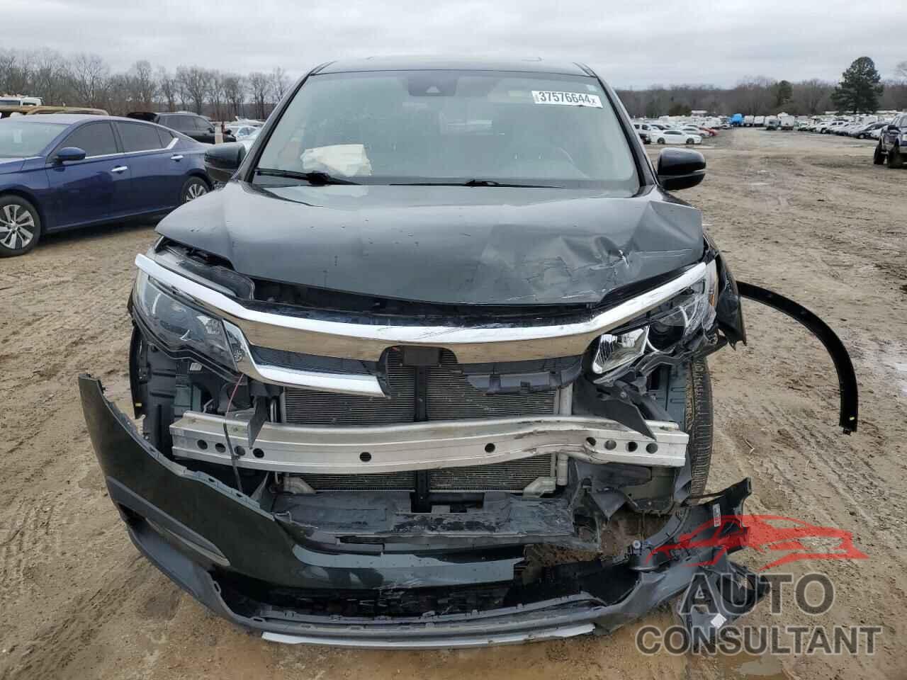 HONDA PILOT 2019 - 5FNYF6H51KB021190