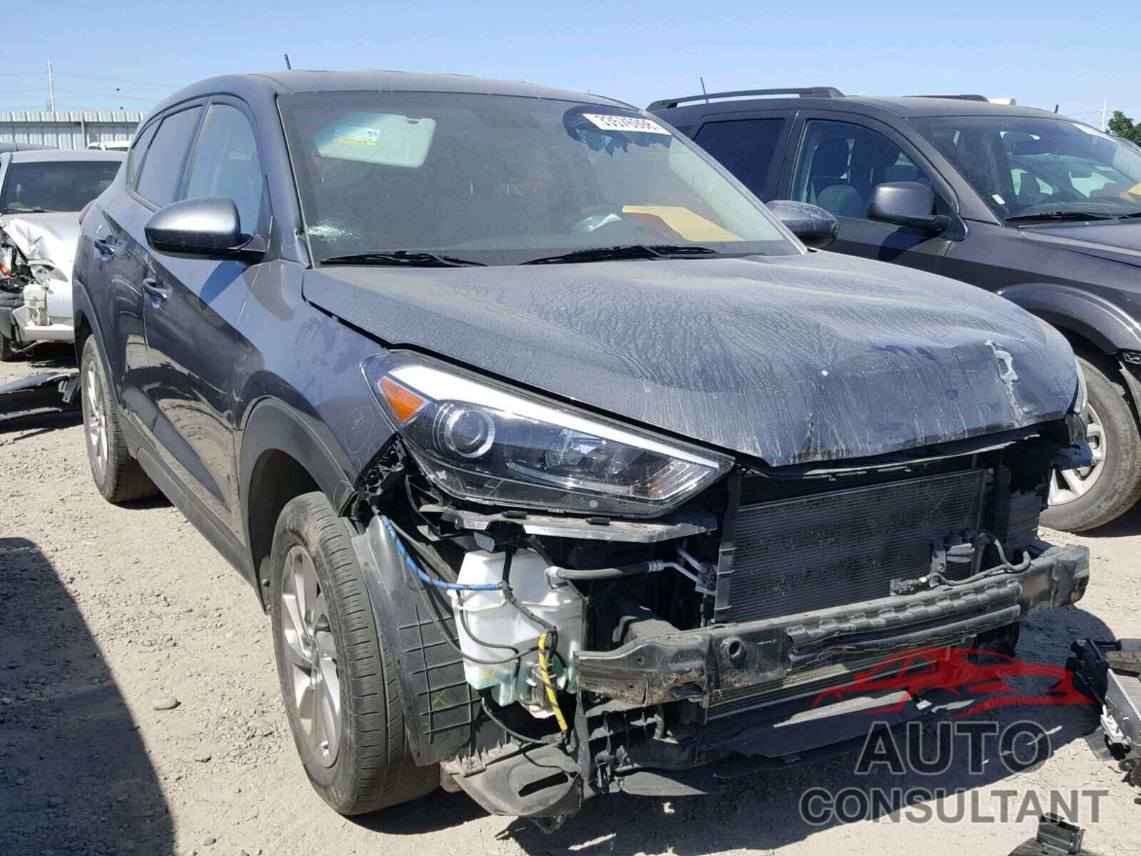 HYUNDAI TUCSON 2016 - KM8J23A49GU027309