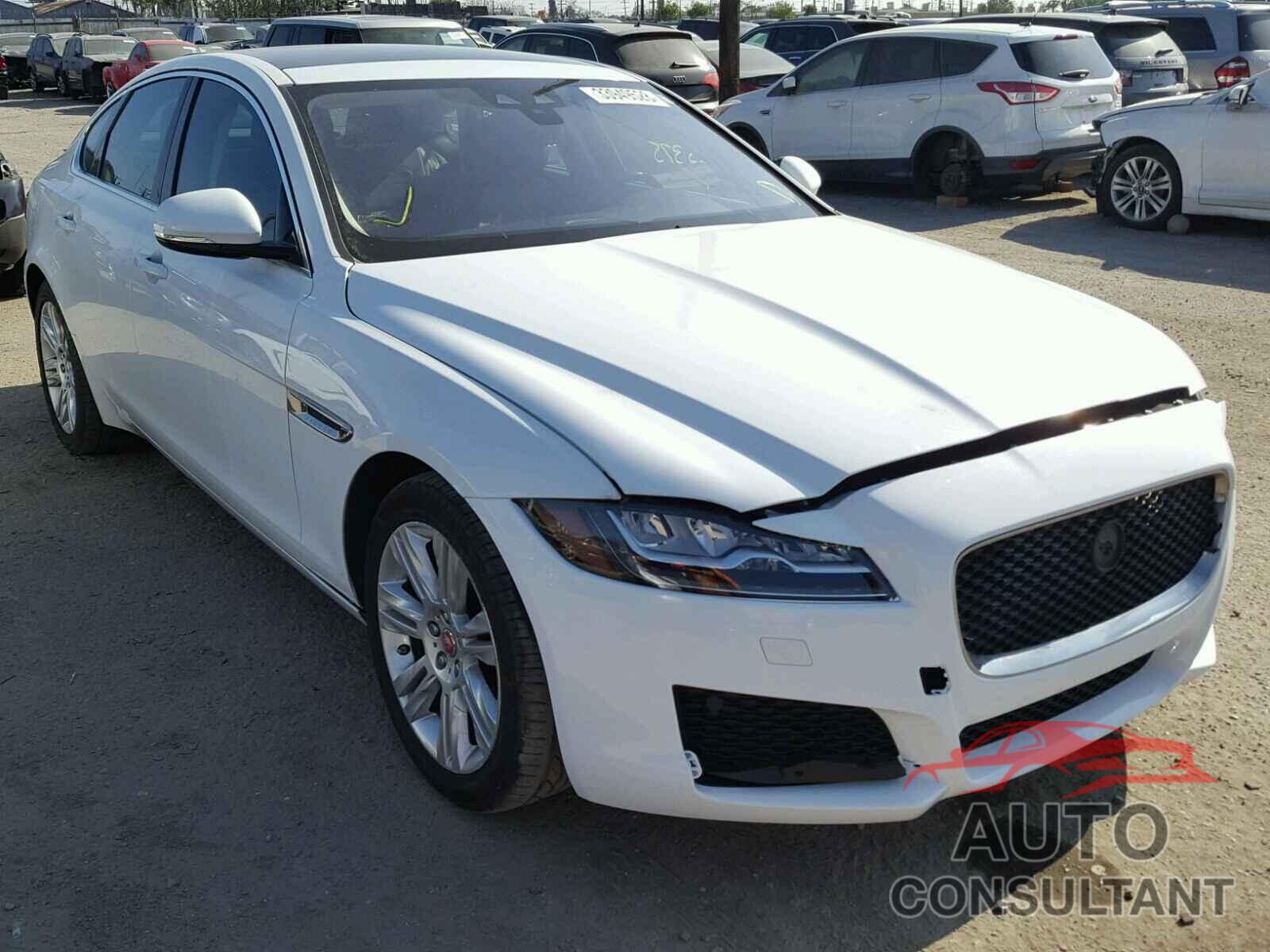 JAGUAR XF 2016 - SAJBD4BV0GCY21235