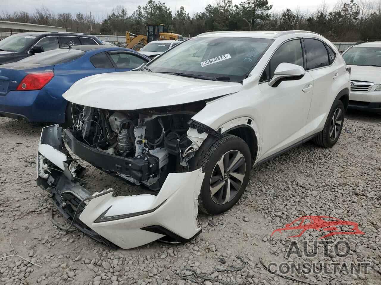 LEXUS NX 2019 - JTJYARBZ7K2120818