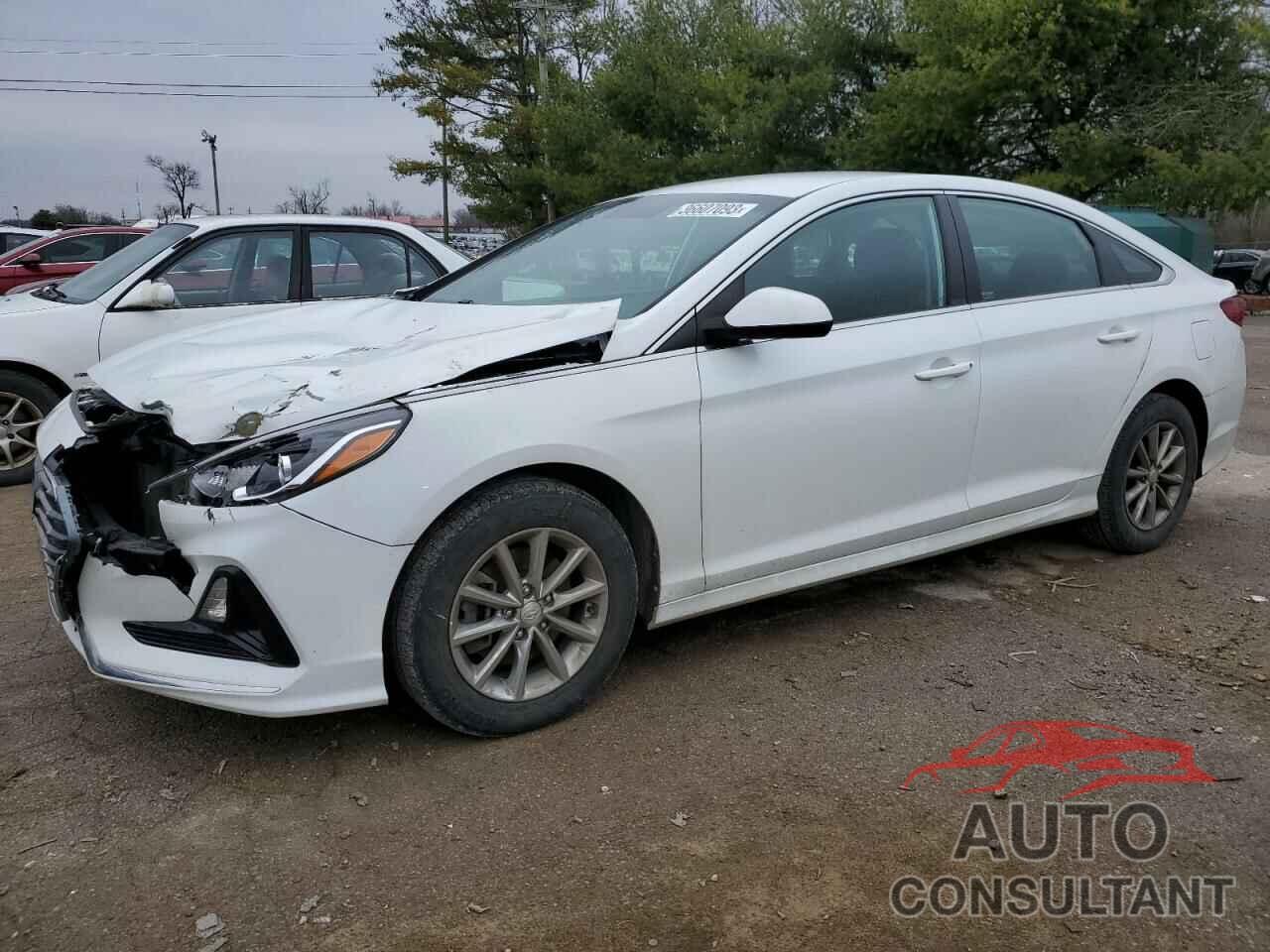 HYUNDAI SONATA 2019 - 5NPE24AF9KH784176