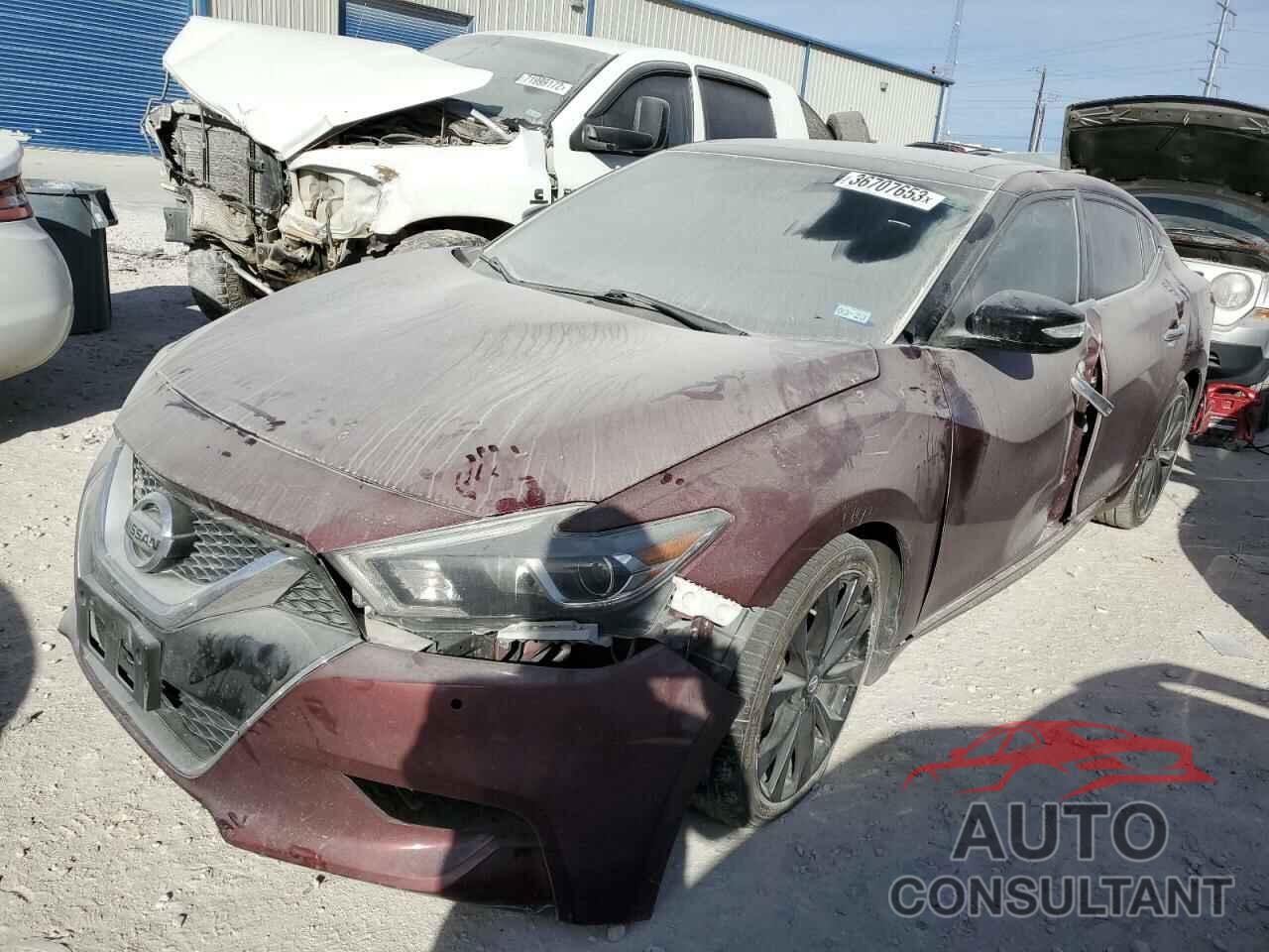 NISSAN MAXIMA 2017 - 1N4AA6AP7HC363203