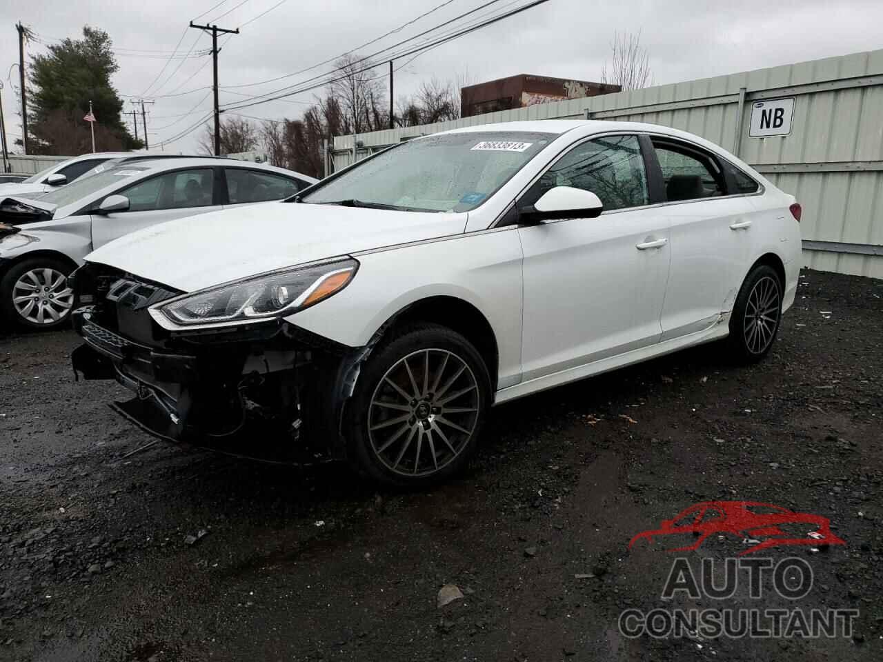 HYUNDAI SONATA 2018 - 5NPE24AF2JH605894