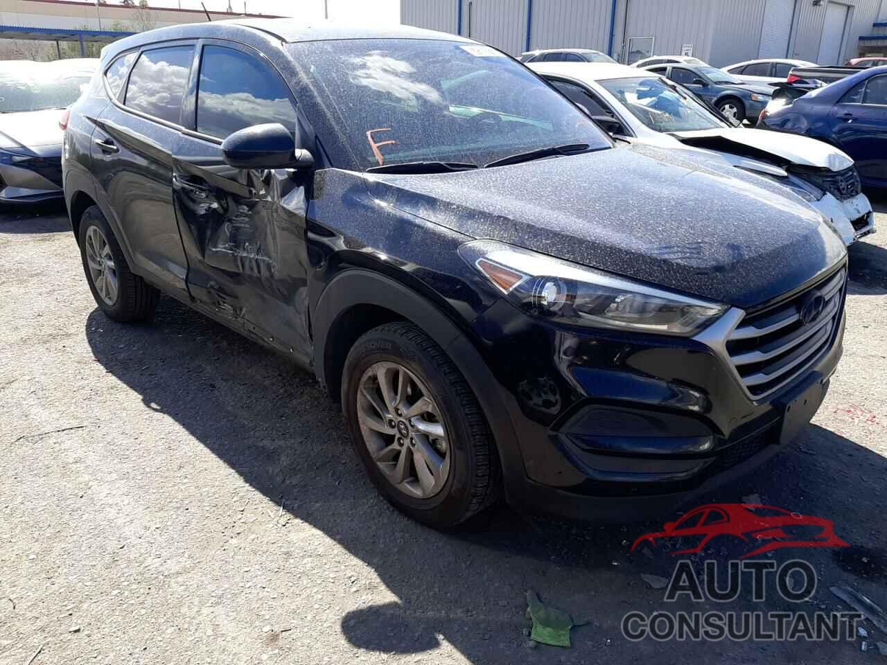 HYUNDAI TUCSON 2017 - KM8J23A44HU285903