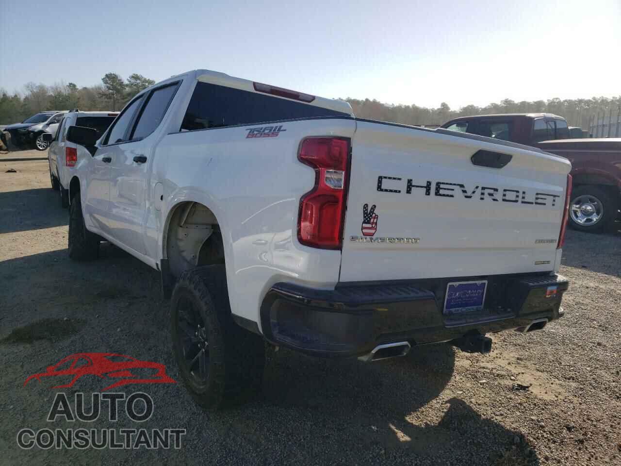 CHEVROLET SILVERADO 2019 - 3GCPYCEF4KG147152