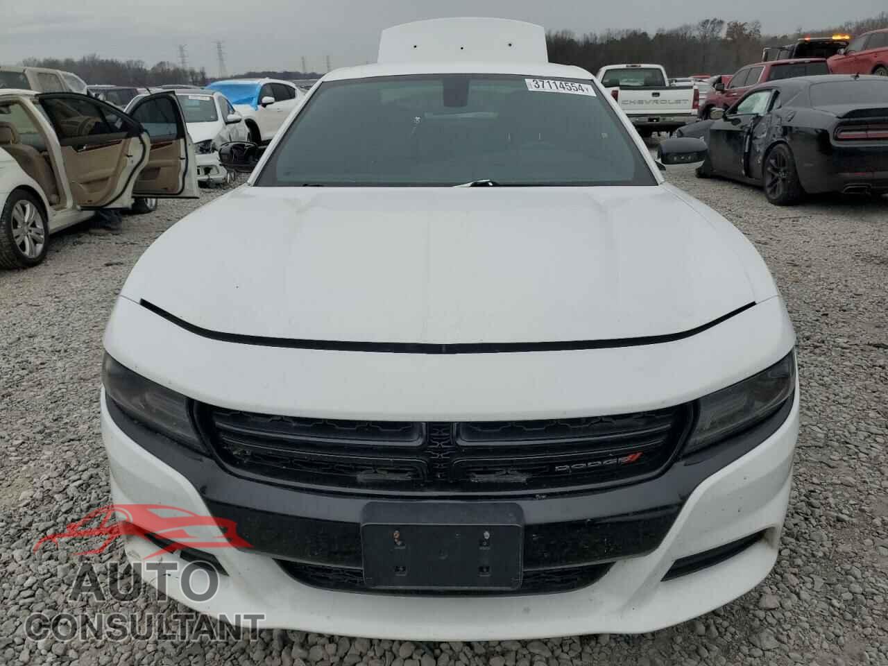 DODGE CHARGER 2019 - 2C3CDXAT3KH616877