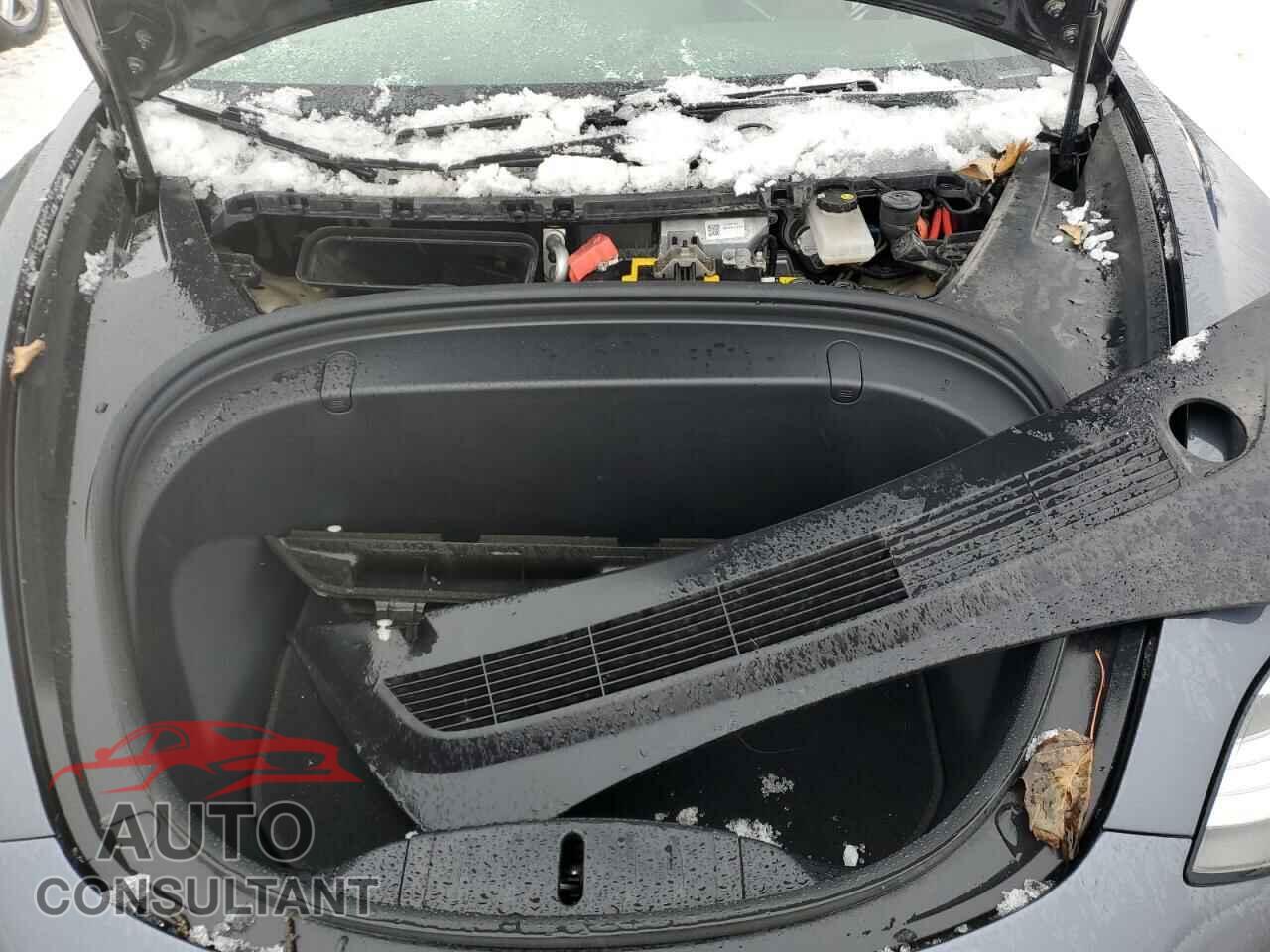 TESLA MODEL 3 2019 - 5YJ3E1EB2KF390831