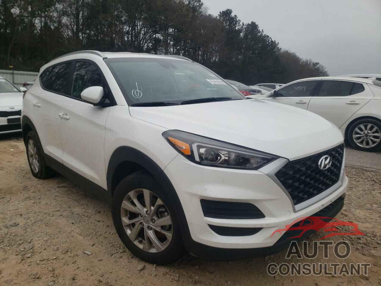 HYUNDAI TUCSON 2019 - KM8J33A48KU862131