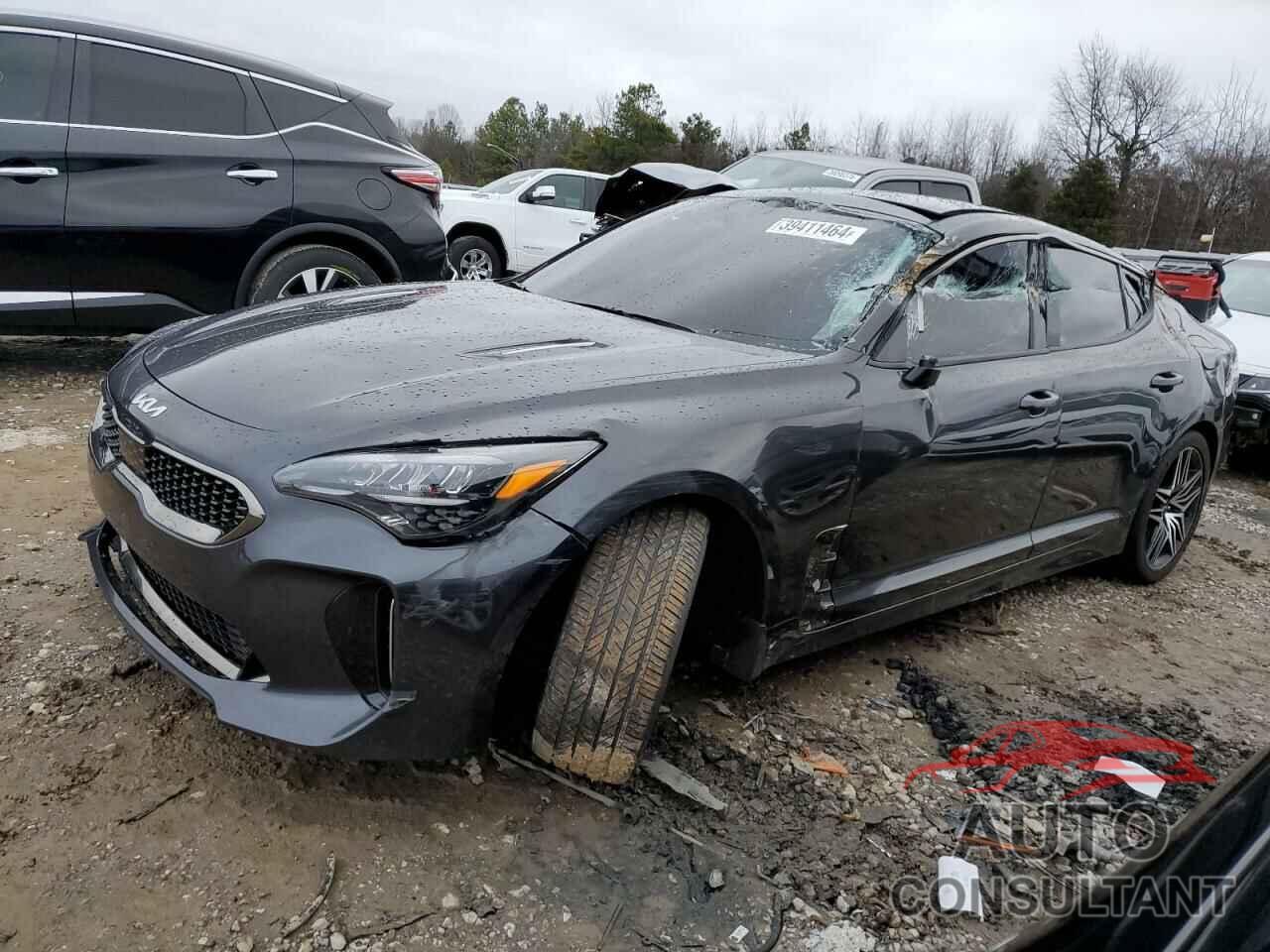 KIA STINGER 2022 - KNAE45LC3N6122284