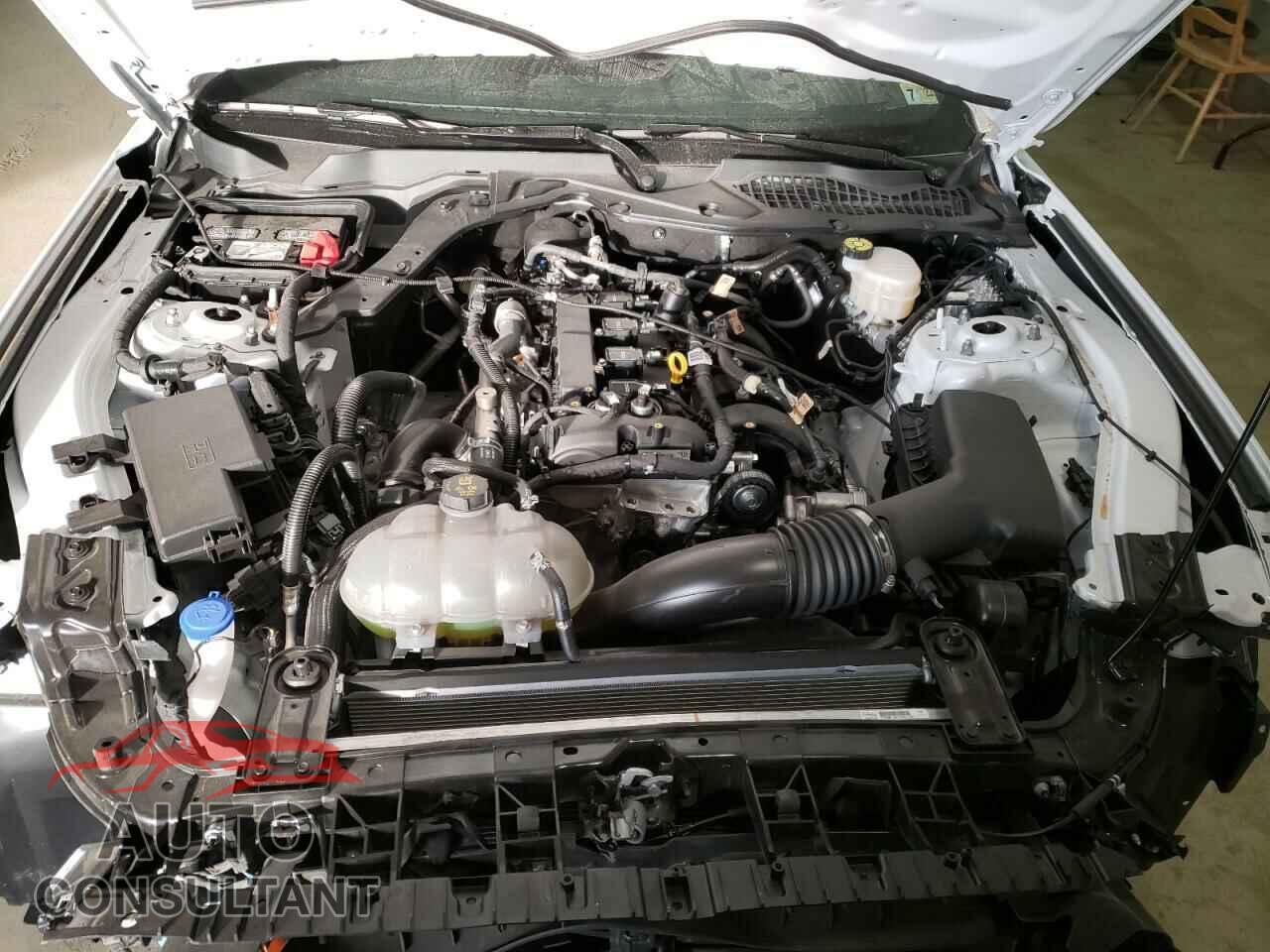 FORD MUSTANG 2021 - 1FA6P8TH5M5125984