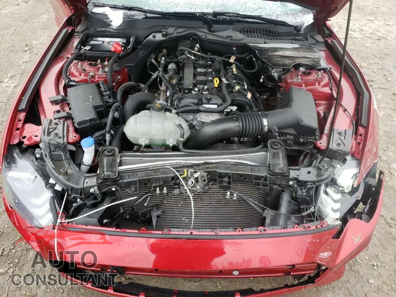 FORD MUSTANG 2020 - 1FA6P8TH8L5176202