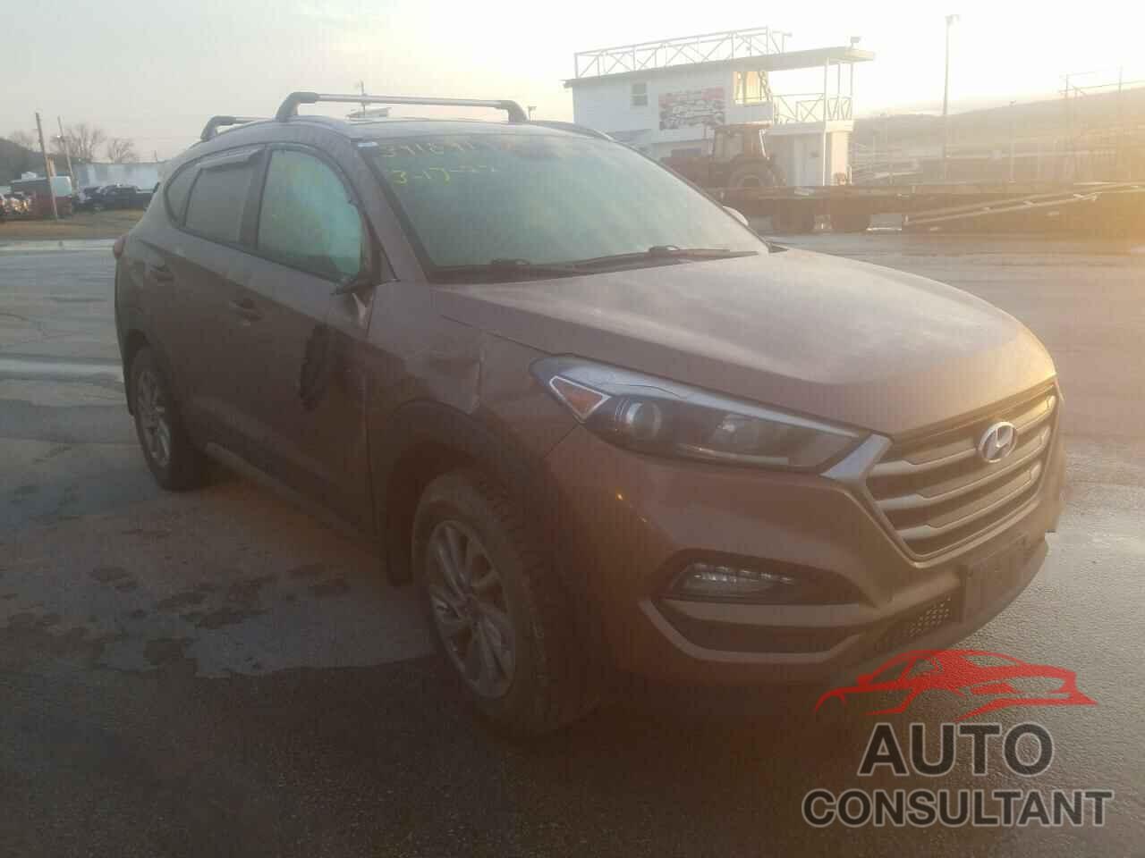 HYUNDAI TUCSON 2017 - KM8J3CA47HU281180