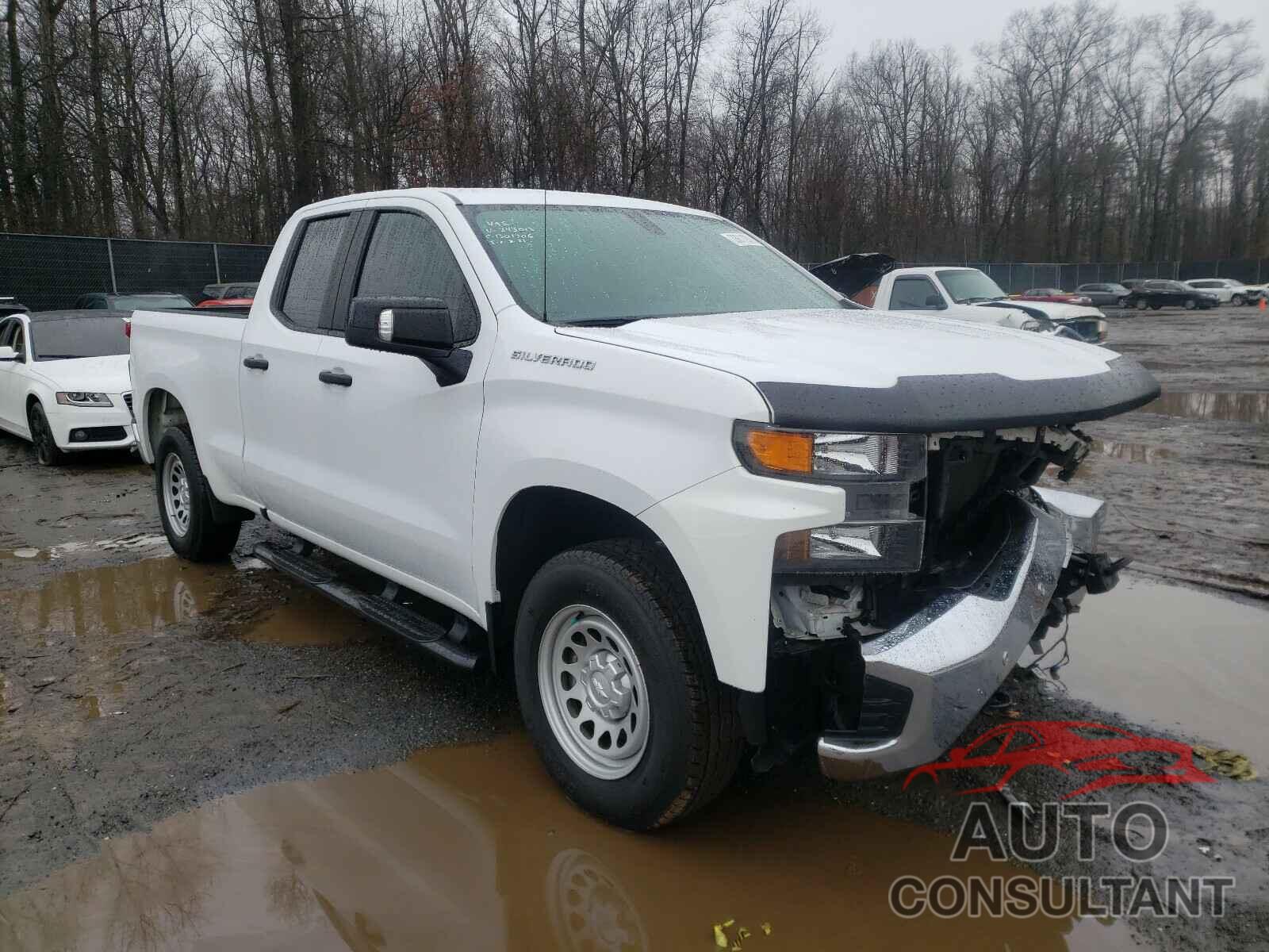 CHEVROLET SILVERADO 2019 - KL8CB6SA1GC586824