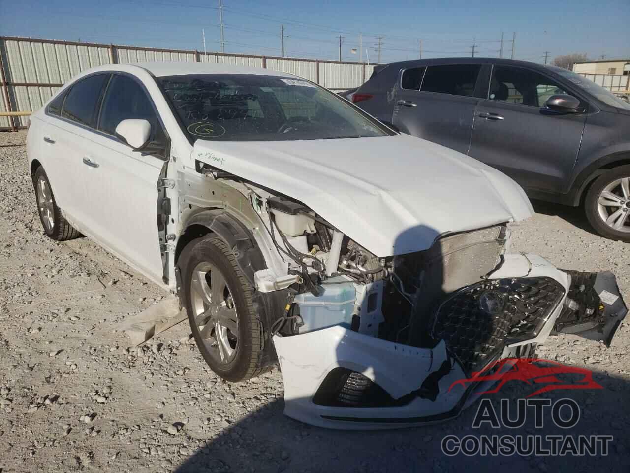 HYUNDAI SONATA 2019 - 5NPE34AF2KH764610
