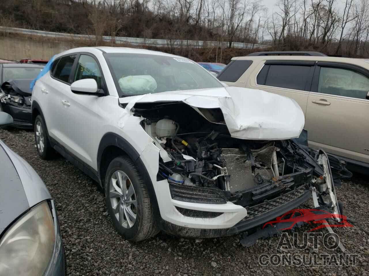HYUNDAI TUCSON 2019 - KM8J2CA40KU841020