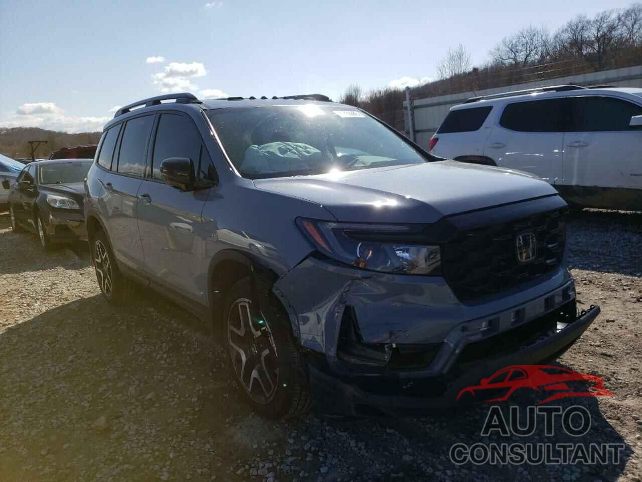 HONDA PASSPORT 2022 - 5FNYF8H02NB004516