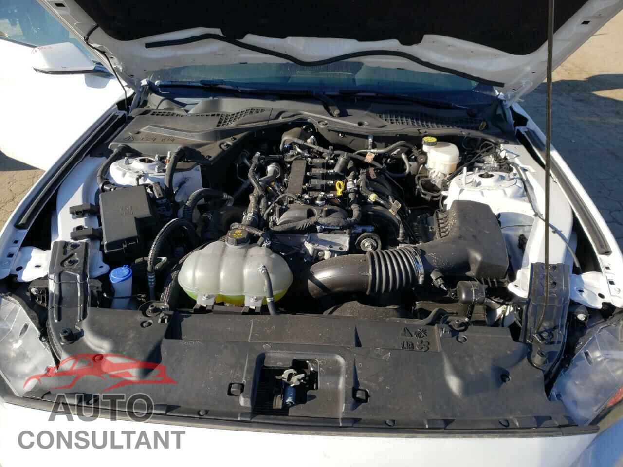 FORD MUSTANG 2021 - 1FA6P8TH2M5116823