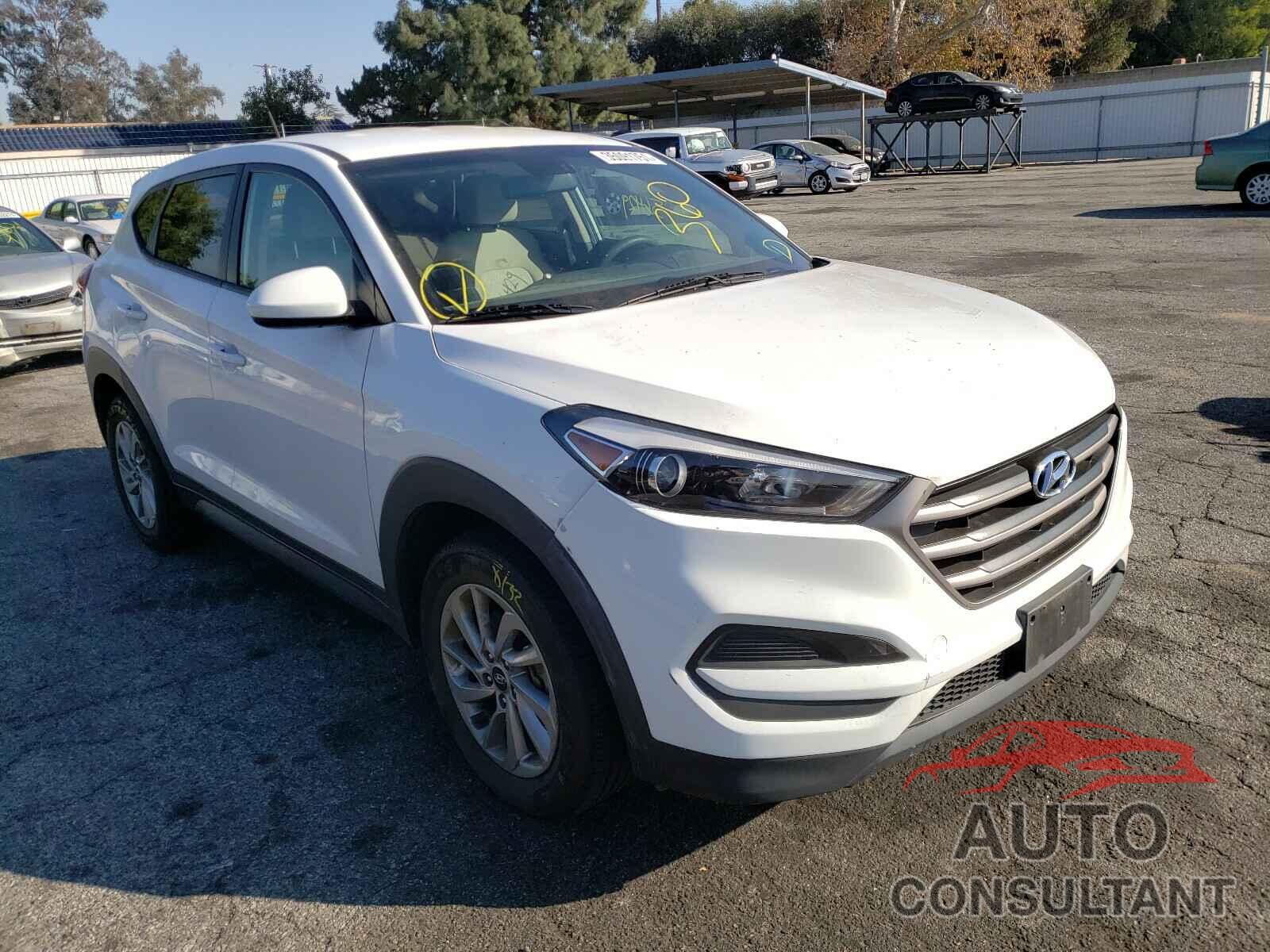 HYUNDAI TUCSON 2016 - KM8J23A43GU233547
