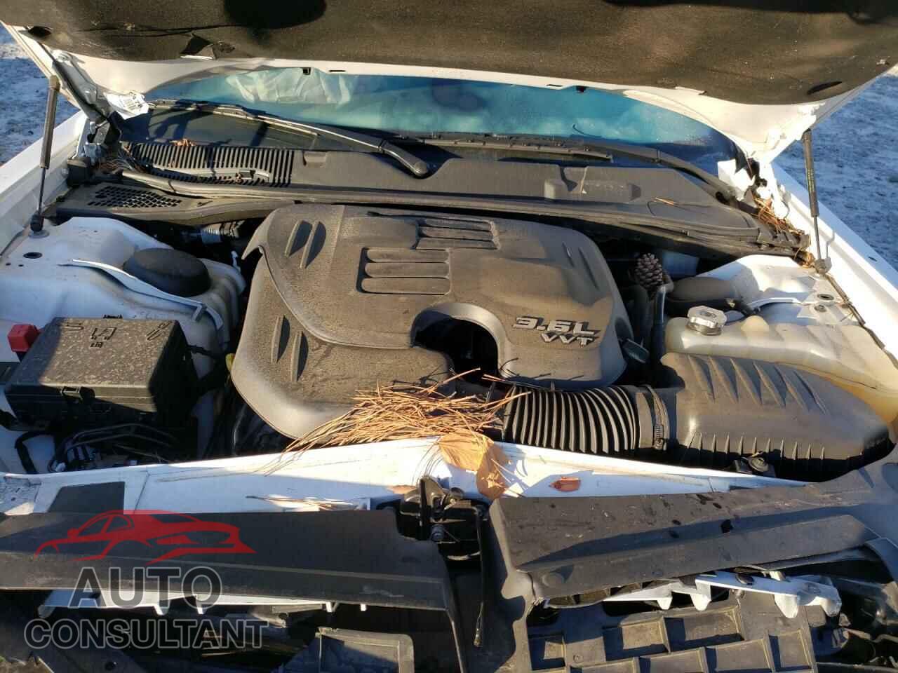 DODGE CHALLENGER 2019 - 2C3CDZAG3KH669478