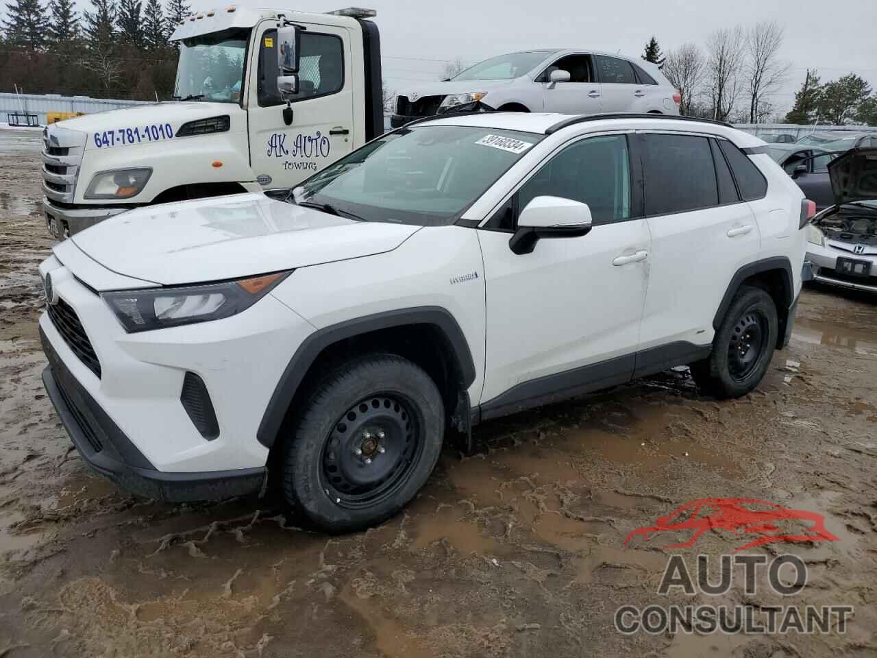 TOYOTA RAV4 2019 - 2T3BWRFVXKW005235