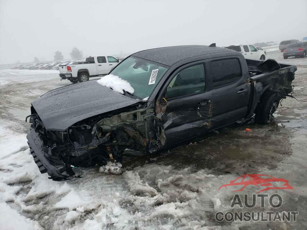 TOYOTA TACOMA 2023 - 3TMCZ5AN7PM597908