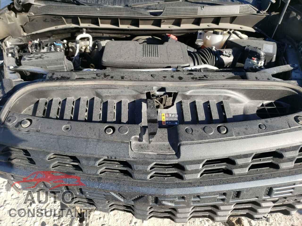 CHEVROLET SILVERADO 2020 - 1GCRYBEF3LZ232522