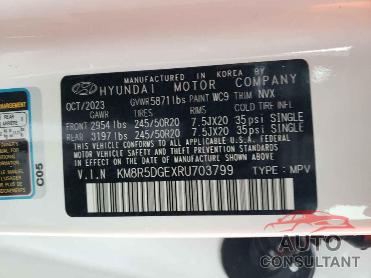 HYUNDAI PALISADE 2024 - KM8R5DGEXRU703799