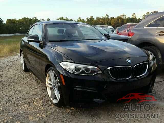BMW 228 I 2015 - WBA1F5C51FV257457