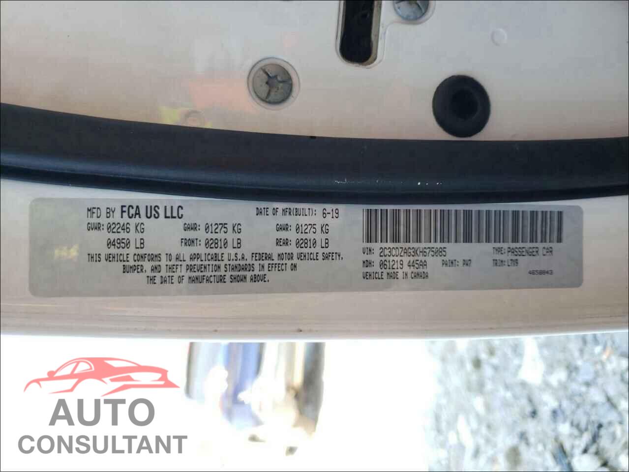 DODGE CHALLENGER 2019 - 2C3CDZAG3KH675085