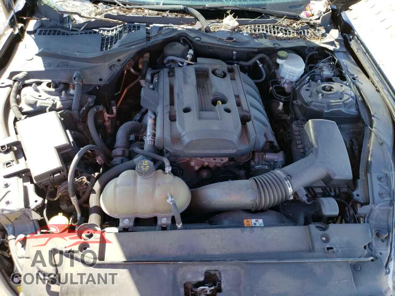 FORD MUSTANG 2017 - 1FA6P8TH5H5282047