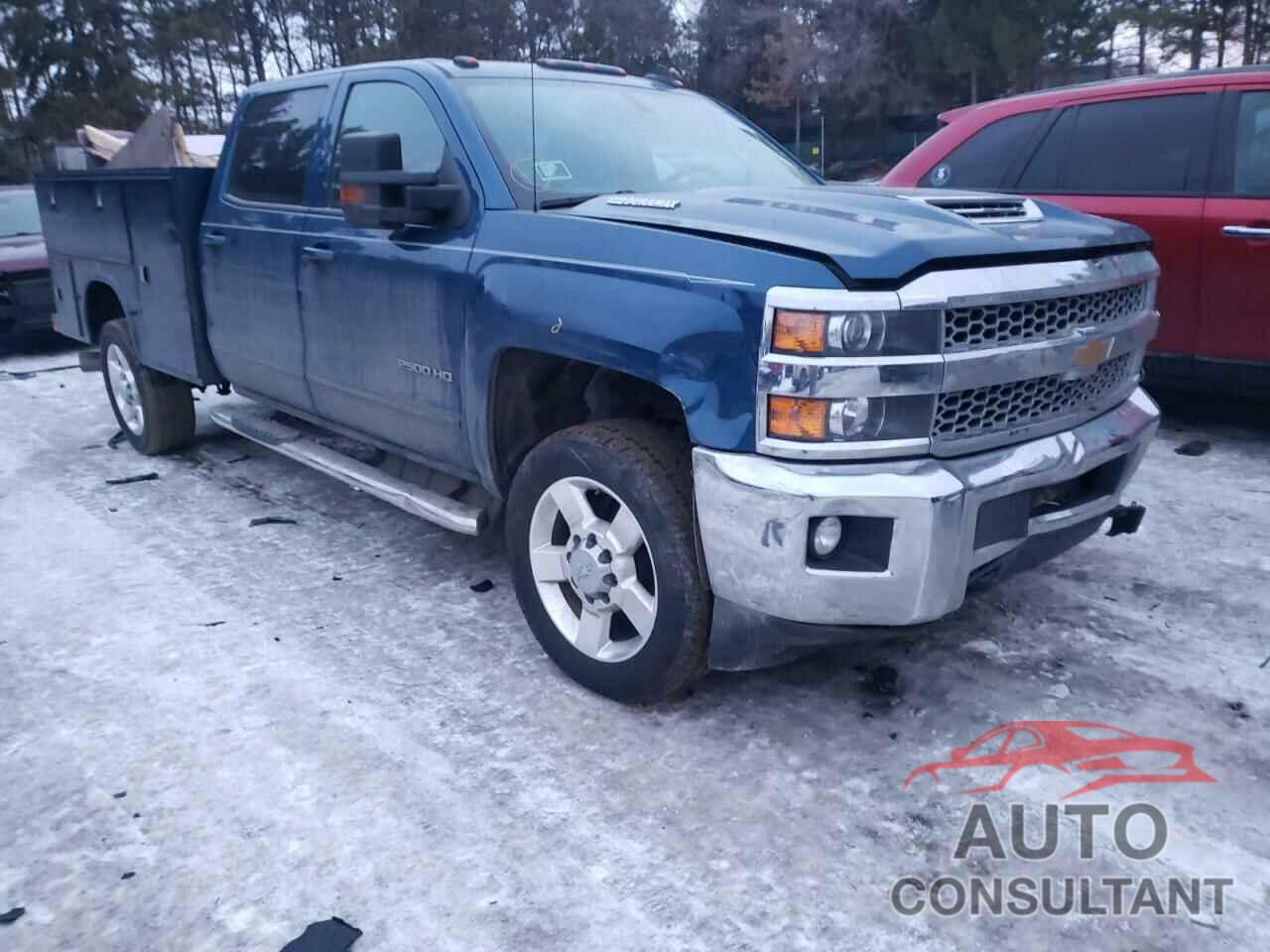 CHEVROLET SILVERADO 2019 - 1GC1KSEY8KF169983