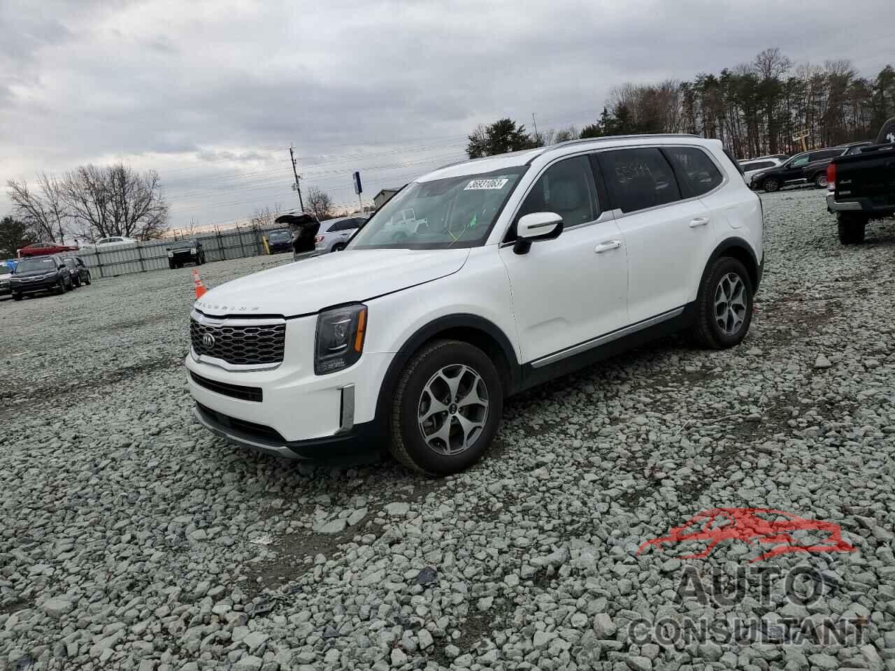 KIA TELLURIDE 2021 - 5XYP3DHC8MG103999