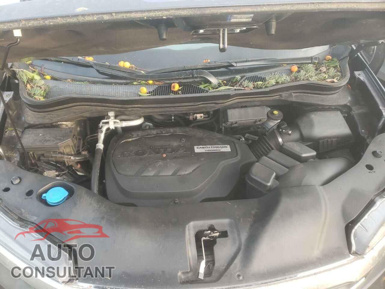 HONDA PILOT 2018 - 5FNYF6H50JB021180