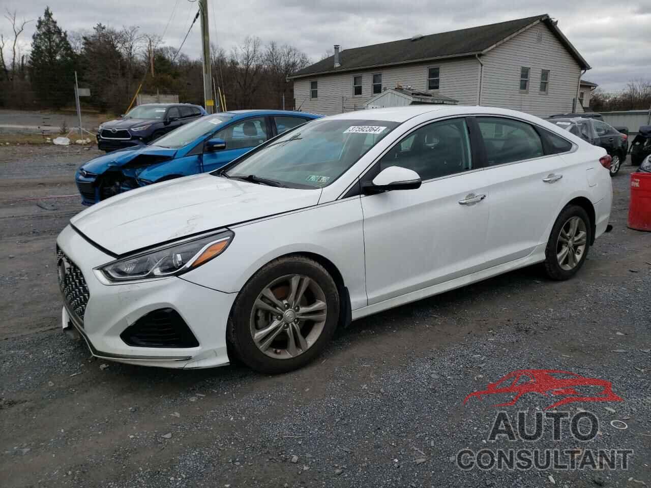 HYUNDAI SONATA 2019 - 5NPE34AF7KH738021