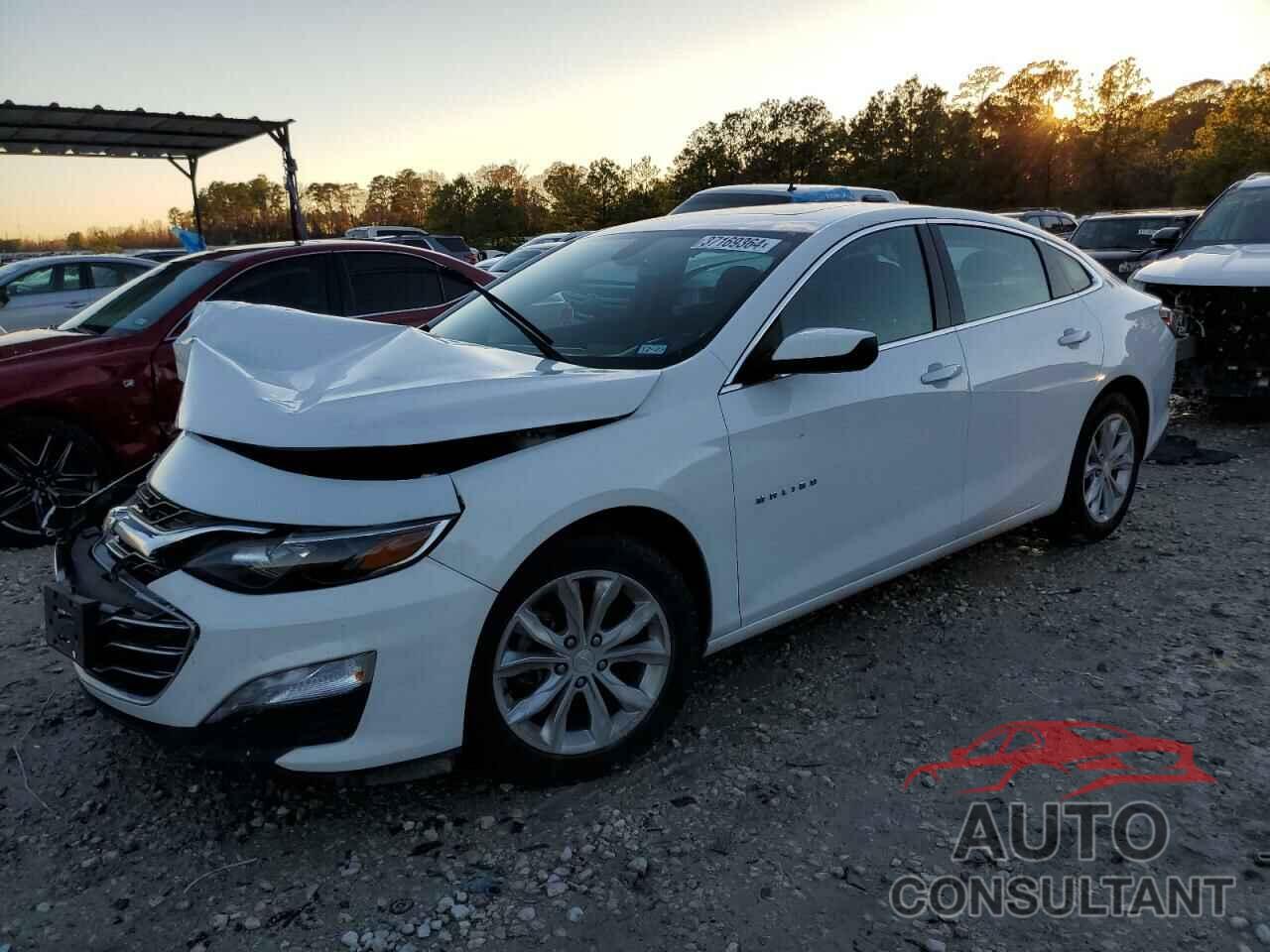 CHEVROLET MALIBU 2020 - 1G1ZD5ST9LF061714